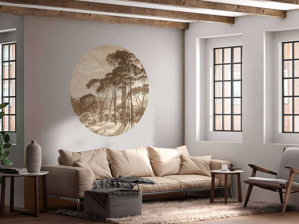 Forest landscape near Rome with setting sun