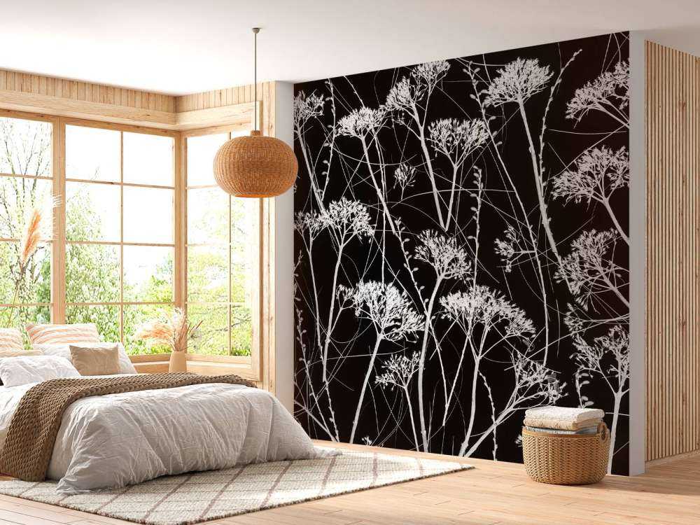 Silhouette of dried plants