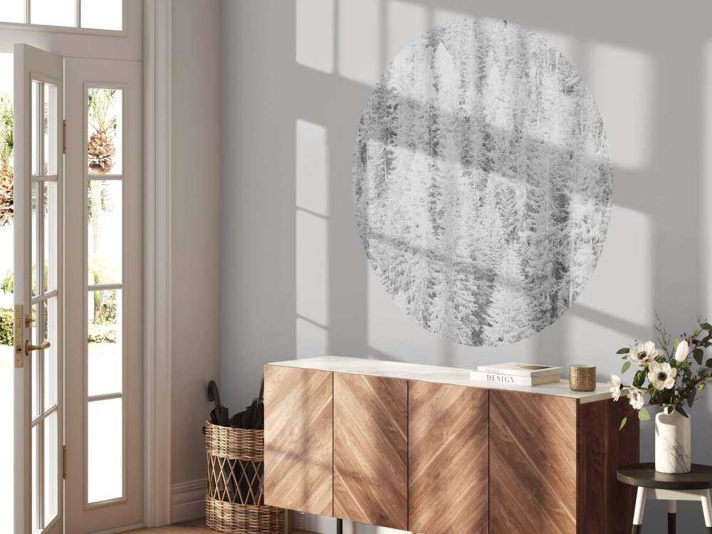 Conifers in black and white