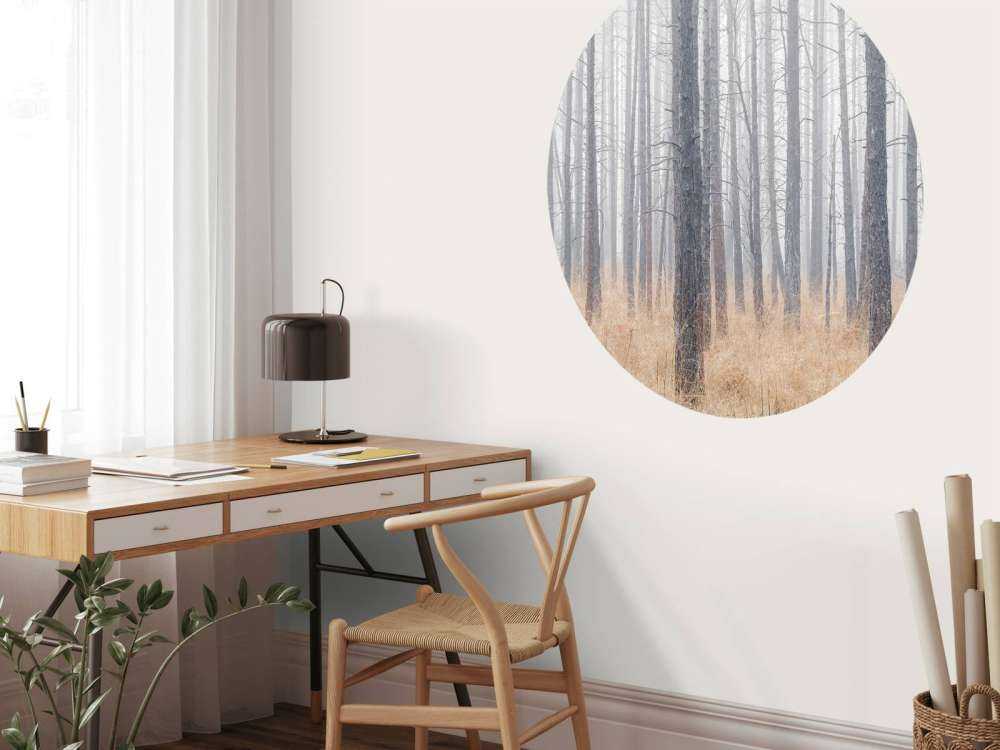 Silent forest