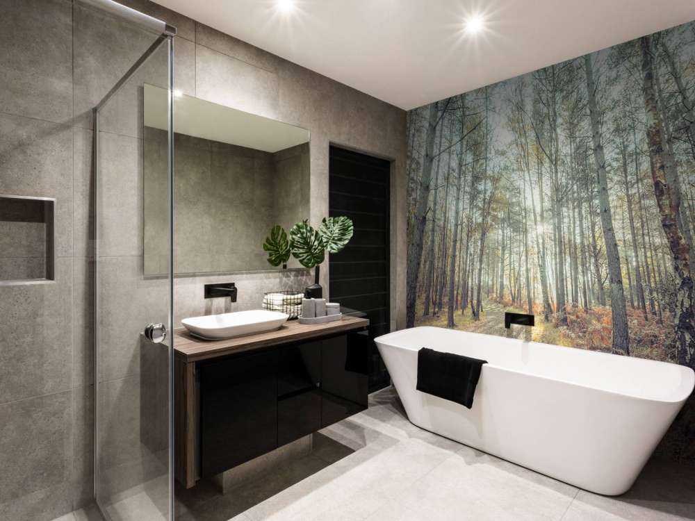 Path through sunny forest