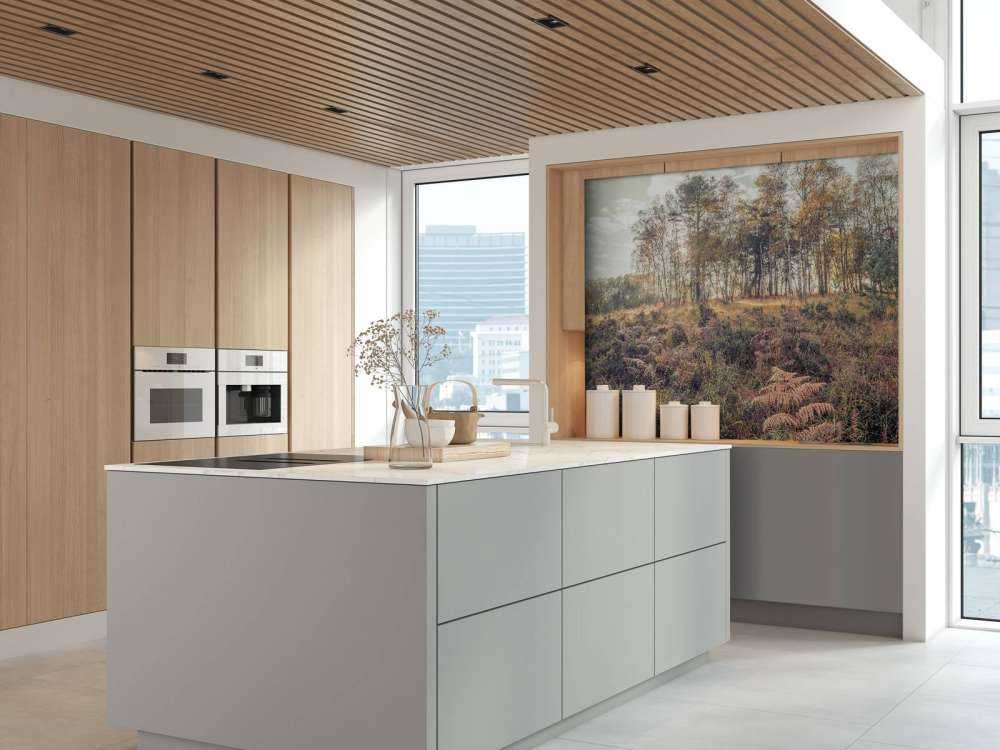 Forest in the morning