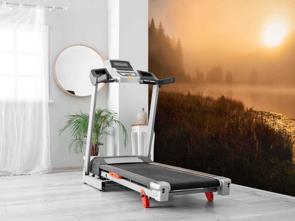 The incredible light of an October morning