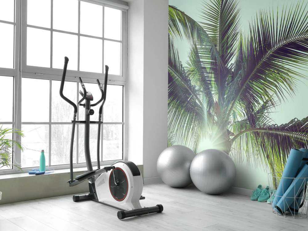 Palm trees in the sun