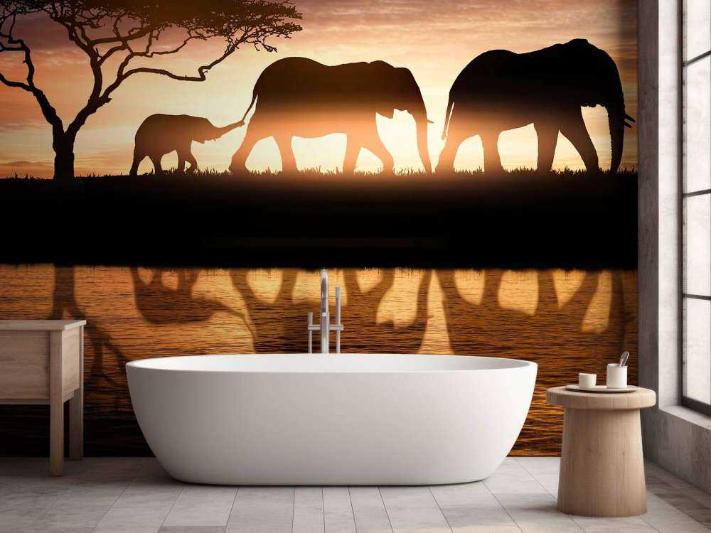 Elephants in savannah