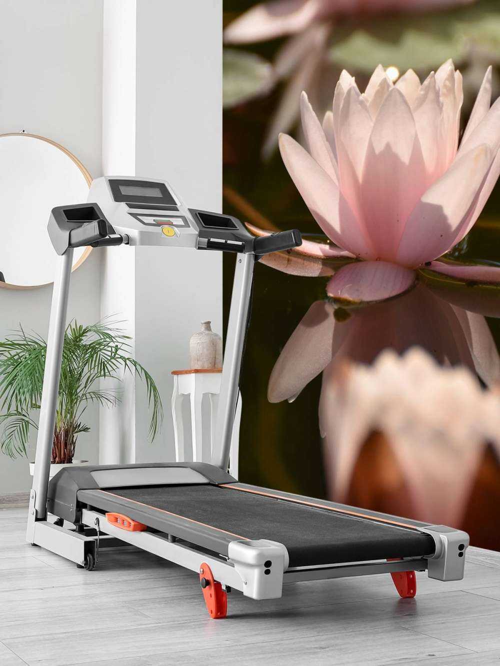 Lotus flower in water