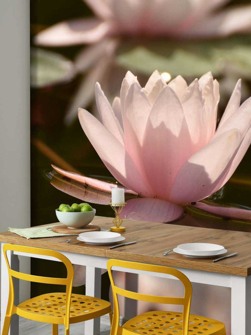 Lotus flower in water