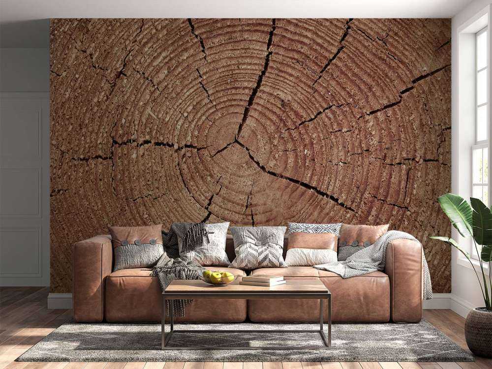 Trunk with annual rings