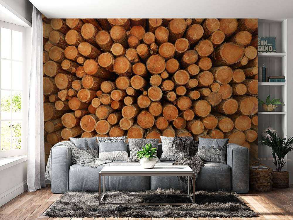 Pile of dark tree trunks