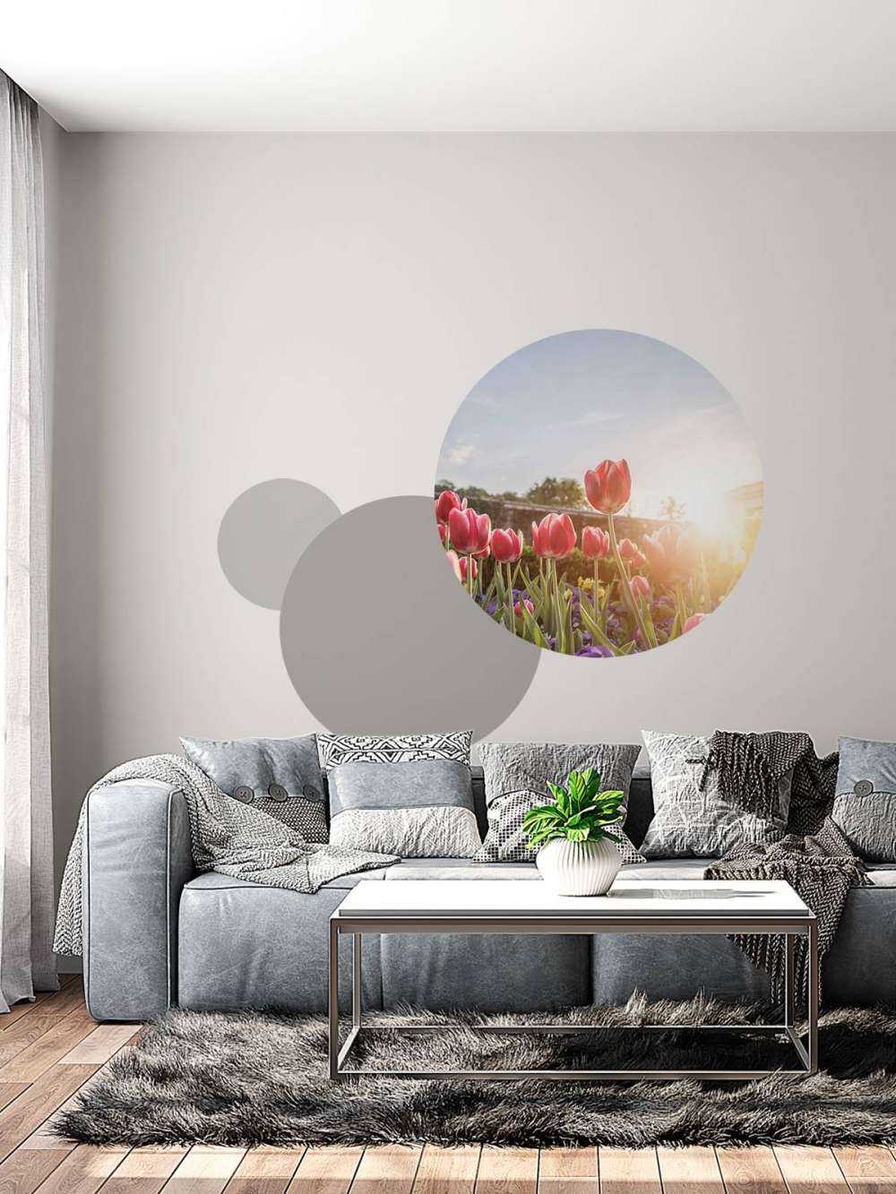 Flowers with sunlight