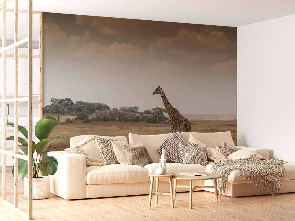 Giraffe on a savannah