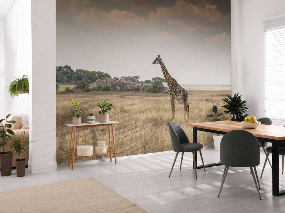 Giraffe on a savannah