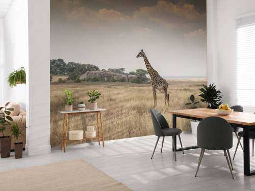 Giraffe on a savannah
