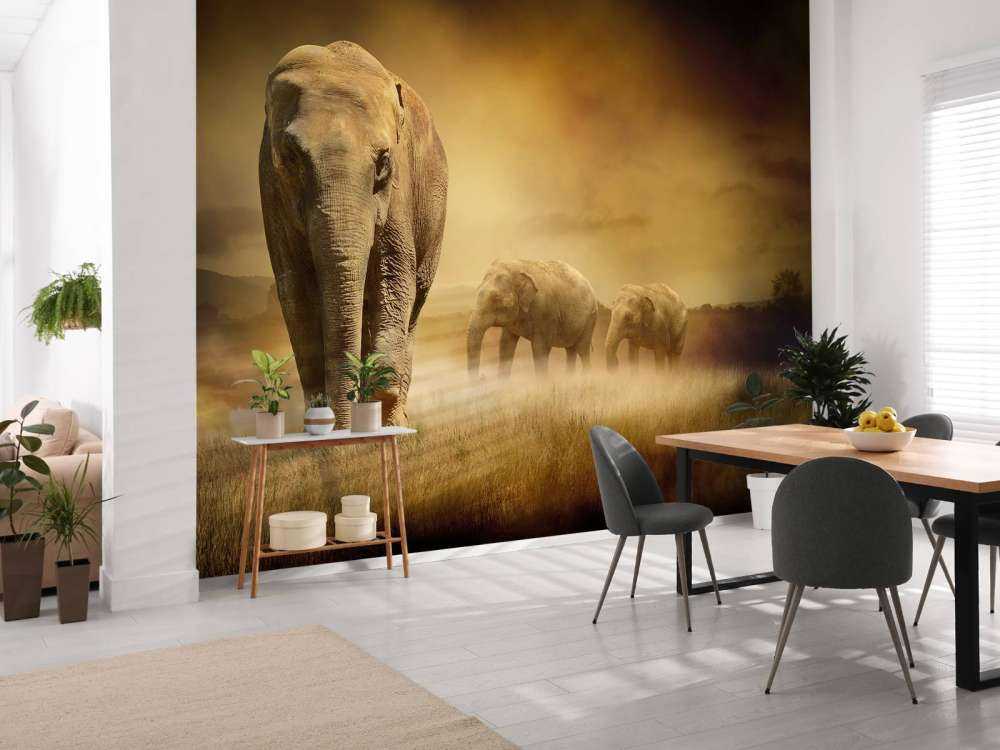 Three elephants