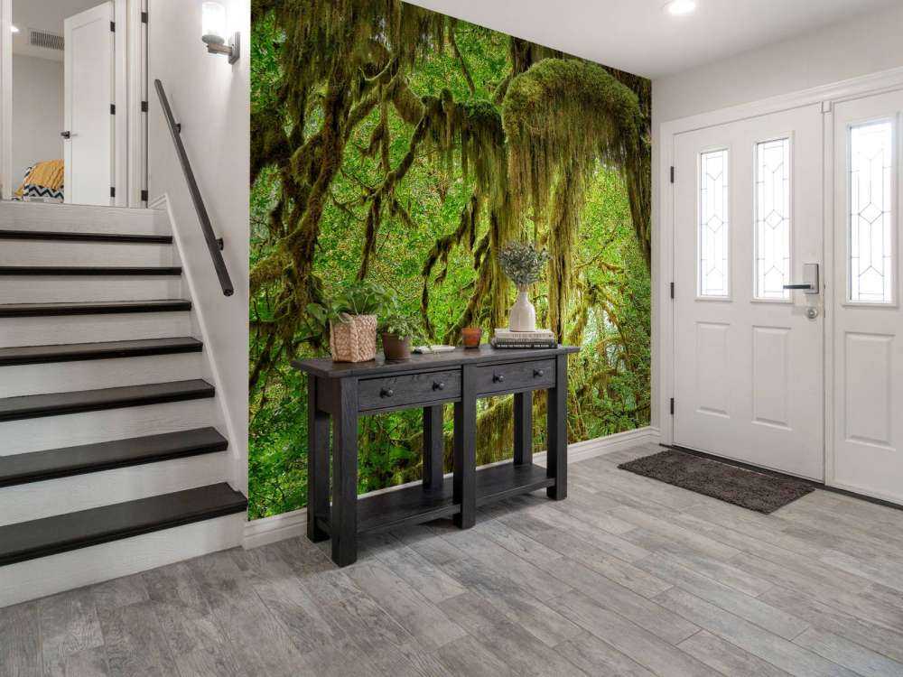 Moss on tree branches