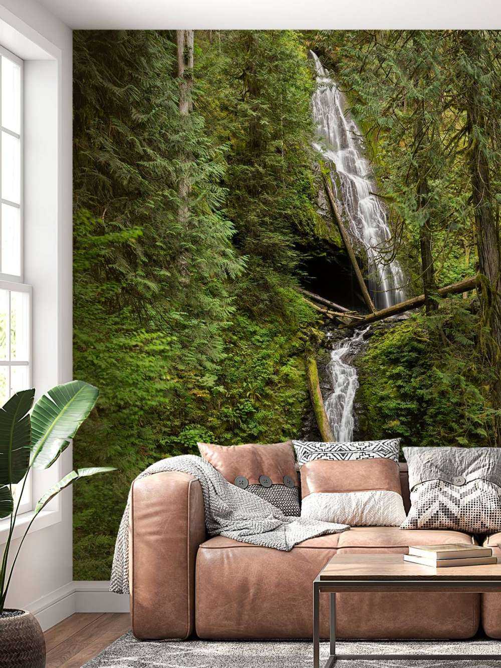 Waterfall with fallen trees