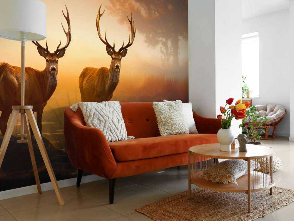 Morning Glory Deer Splendor