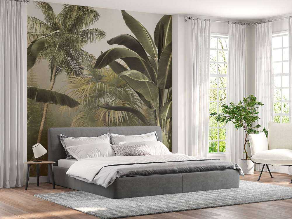 Tropical Mist Forest