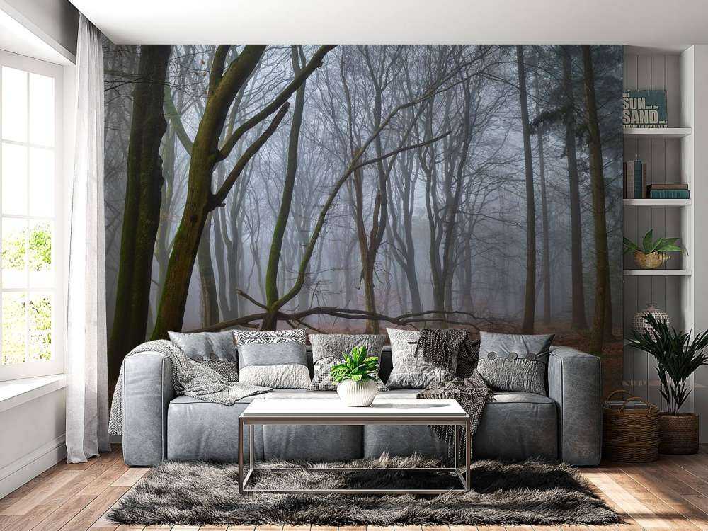 Mysterious misty forest