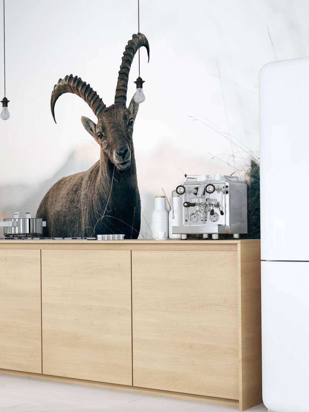 Capricorn in the mountains