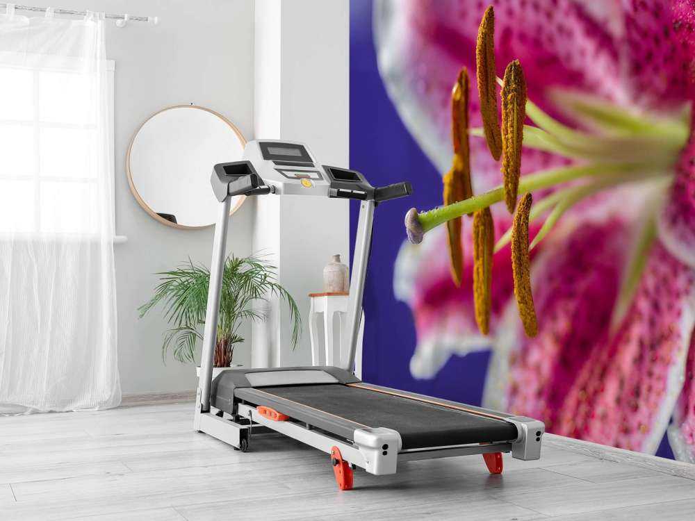 Close-up pink flower