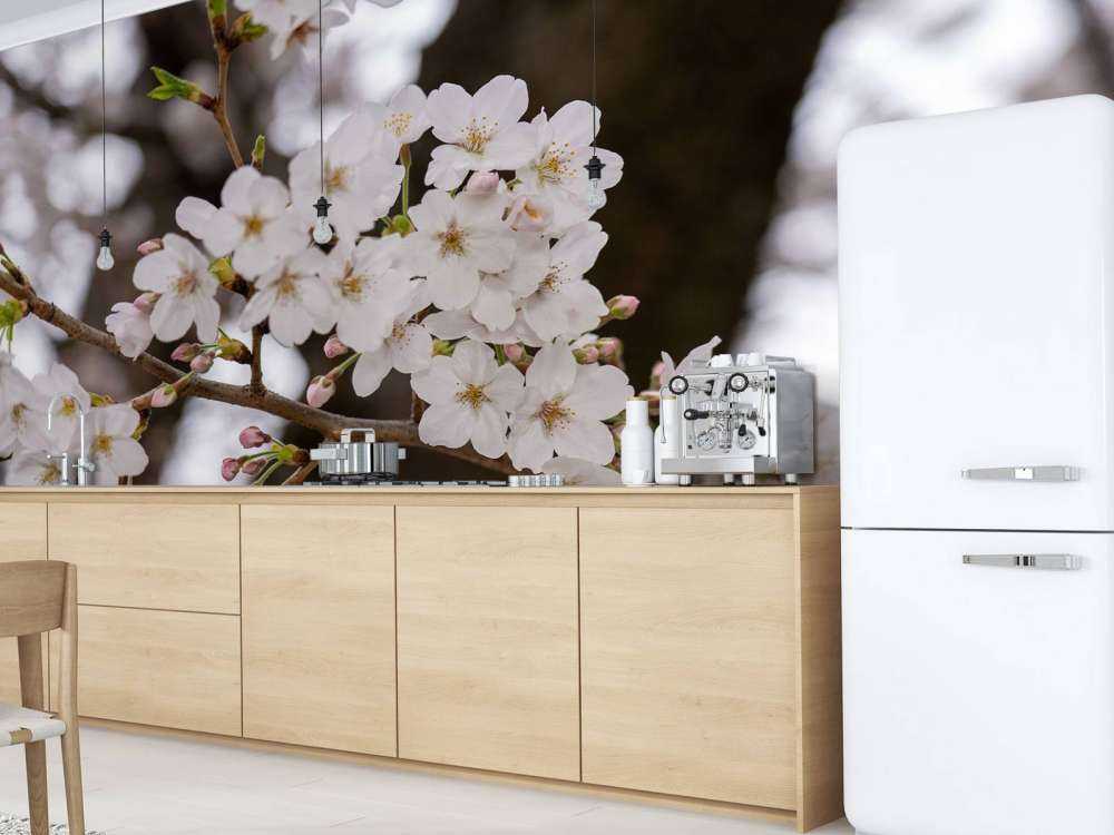 White blossoms