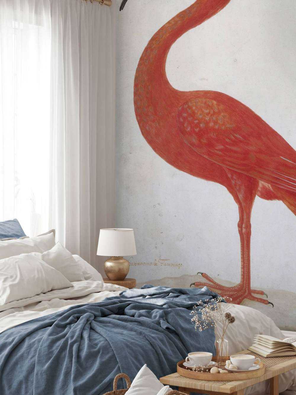 Red Ibis with an egg