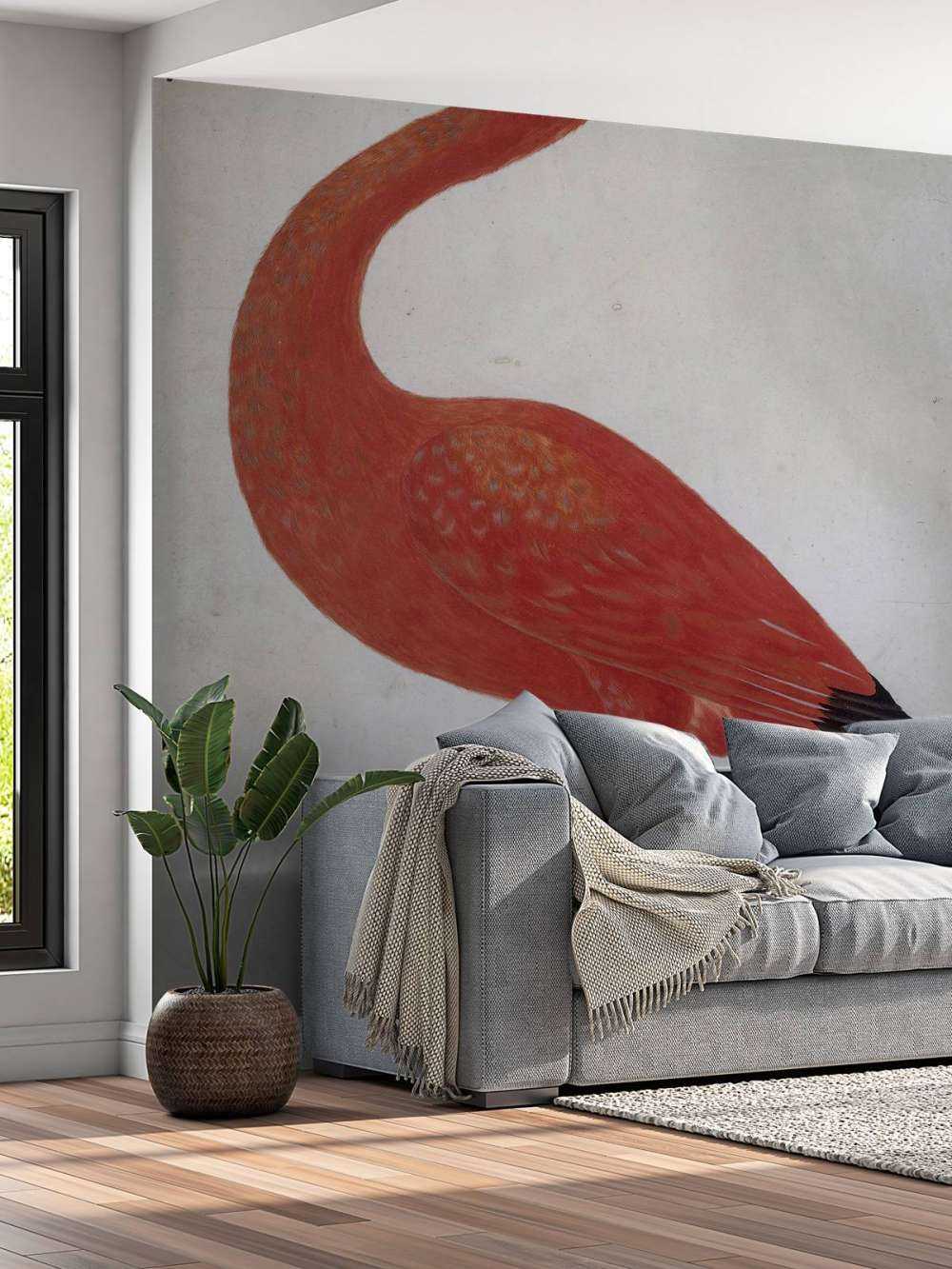 Red Ibis with an egg