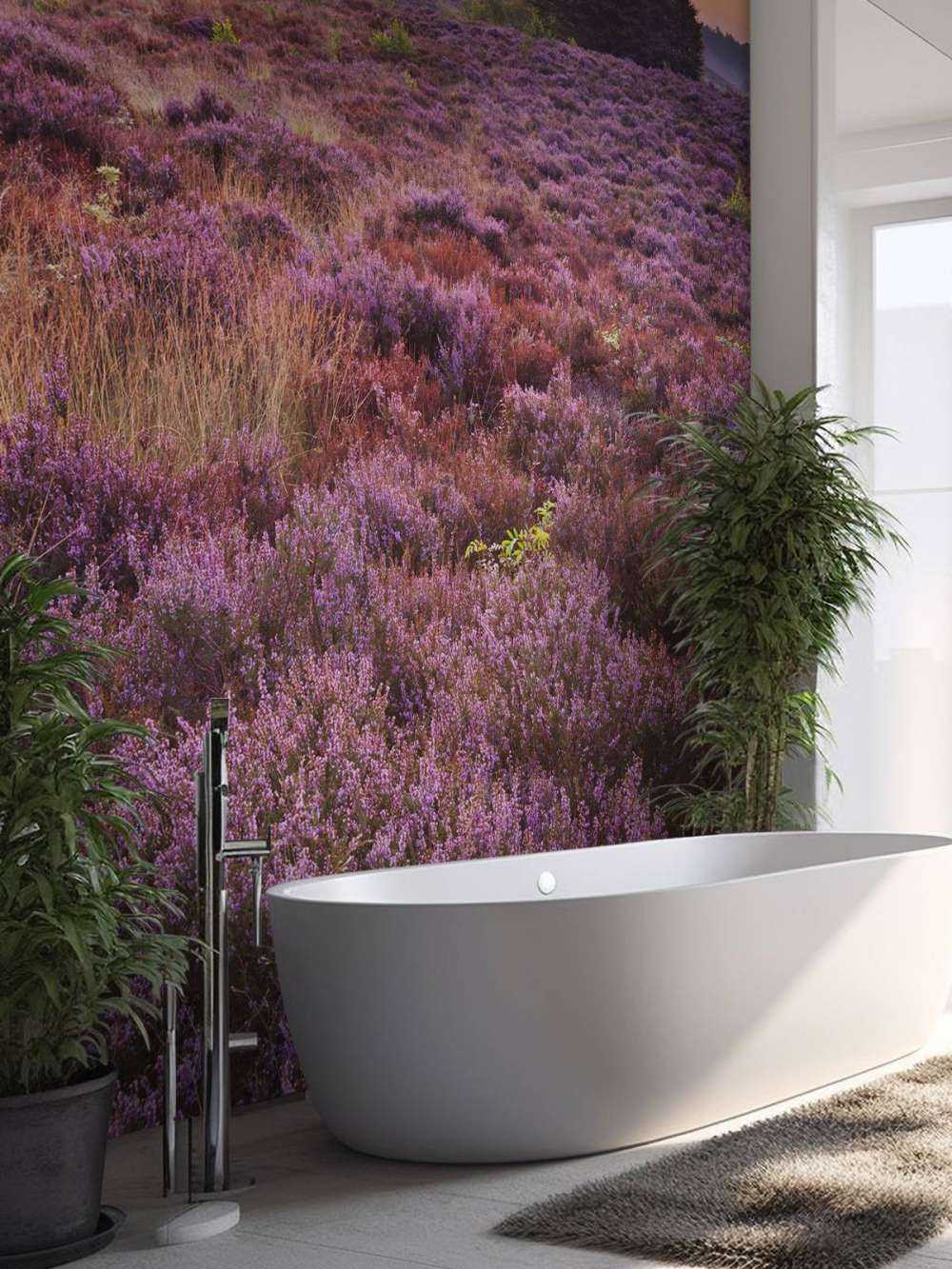 Sunset in the Posbank