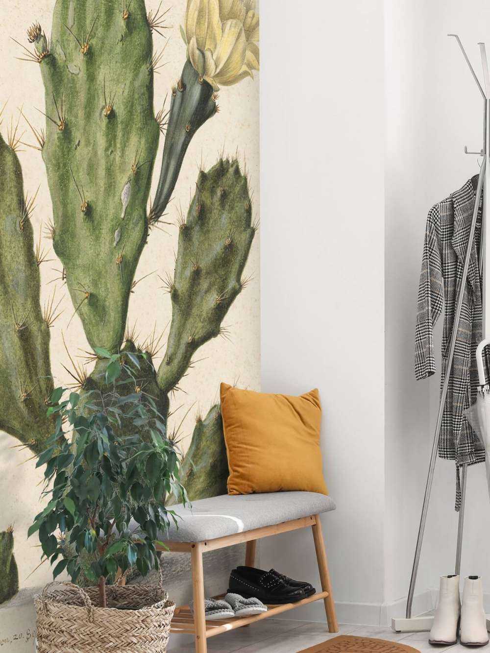 Flowering fig cactus