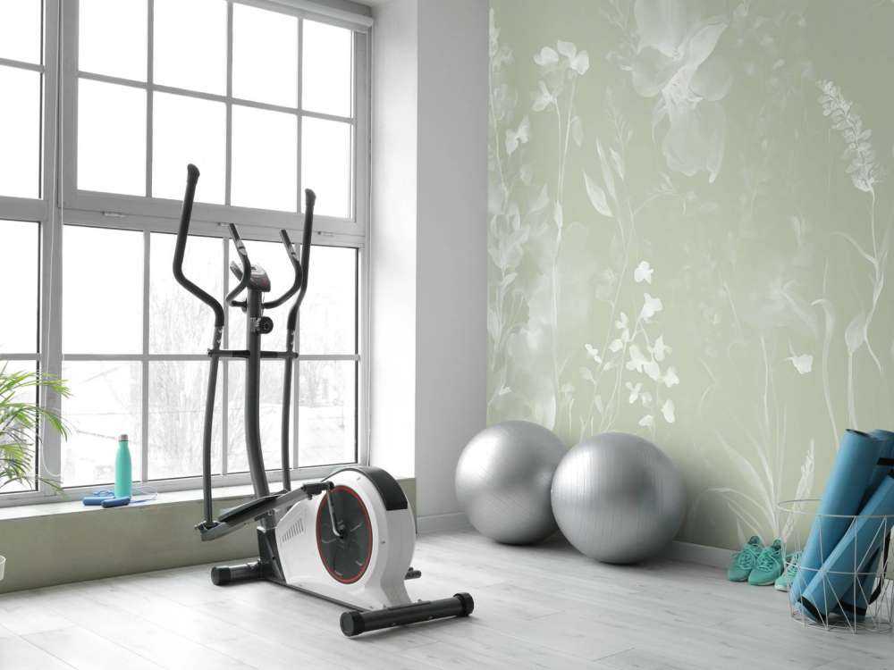 The&#x20;softness&#x20;of&#x20;heart&#x20;-&#x20;olive