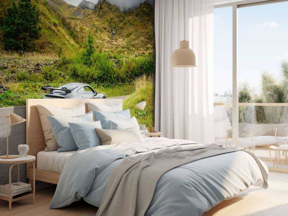 Sports car in mountain mist