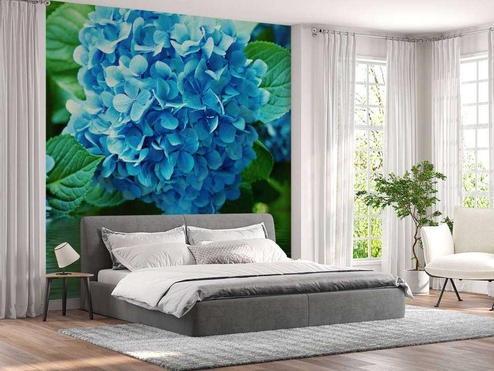 Hydrangea in water