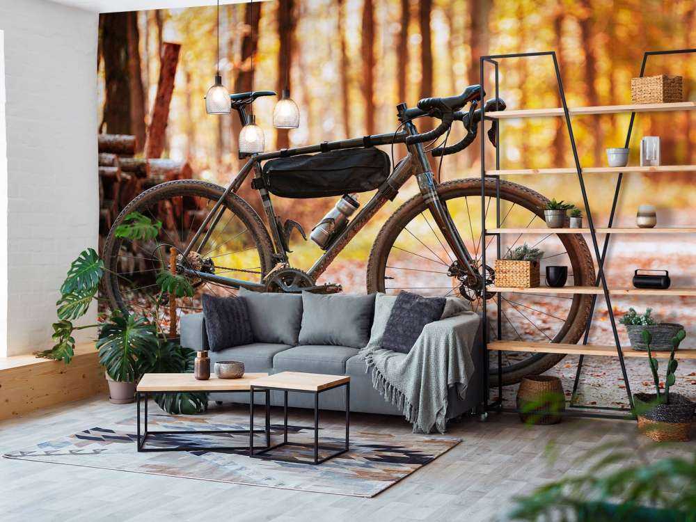 Bike in autumn