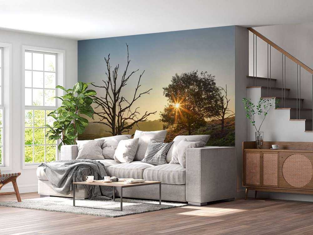 Rising sun on the heath