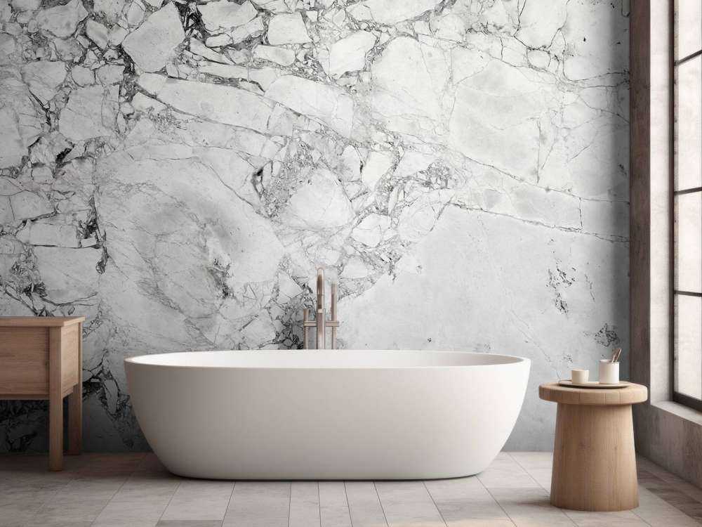 Black and white marble with coarse structure