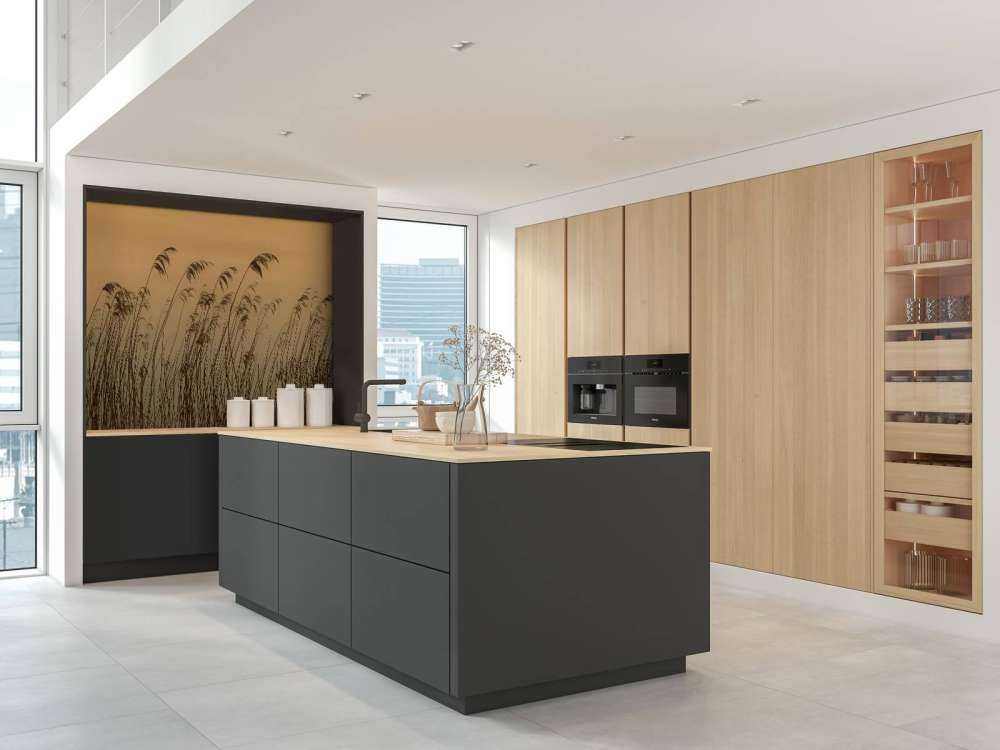 Reed along the waterfront