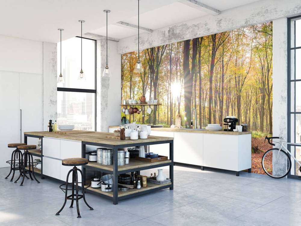 Sunlight through autumn forest