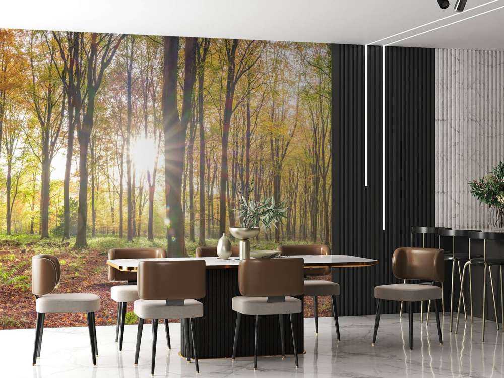 Sunlight through autumn forest