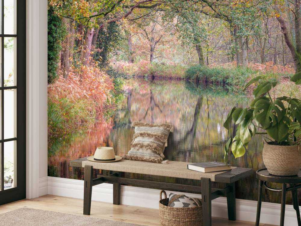 Covered colorful forest