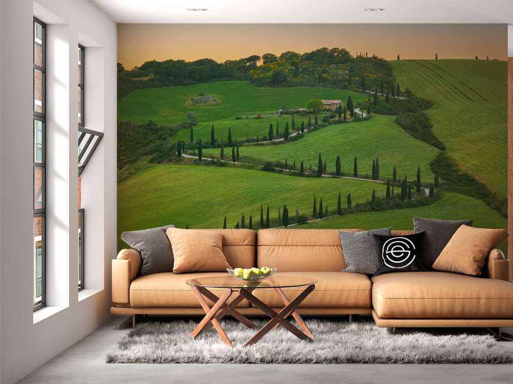 Winding road with cypresses