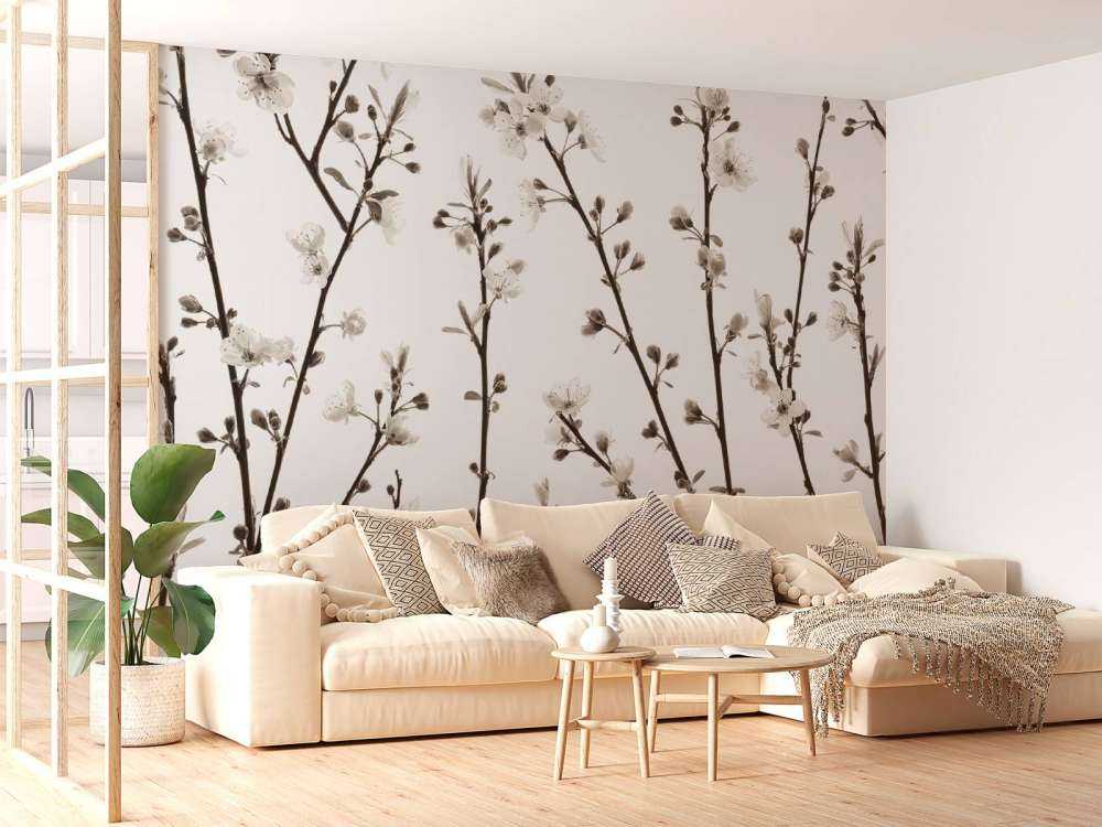 Cherry blossom branches