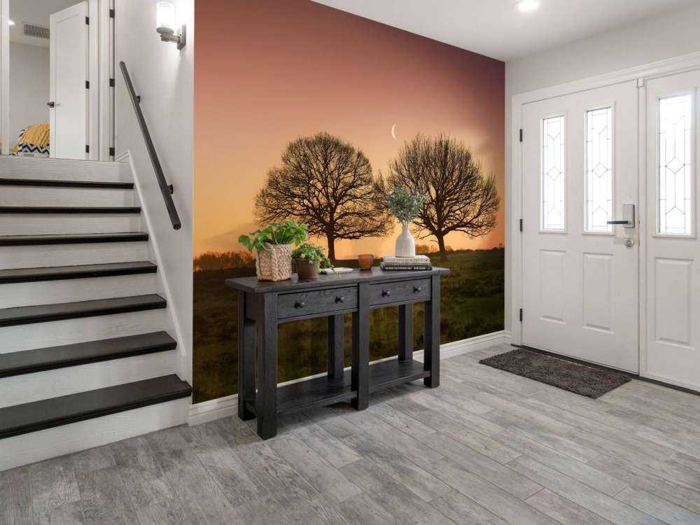 Moon between the trees