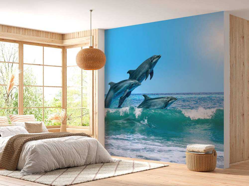 Dolphins at the coast