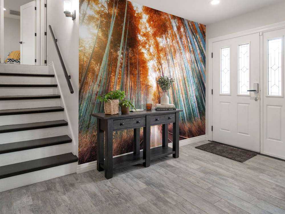 Autumn bamboo forest