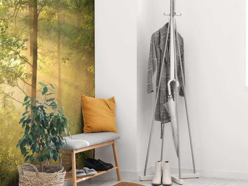 Misty spring morning