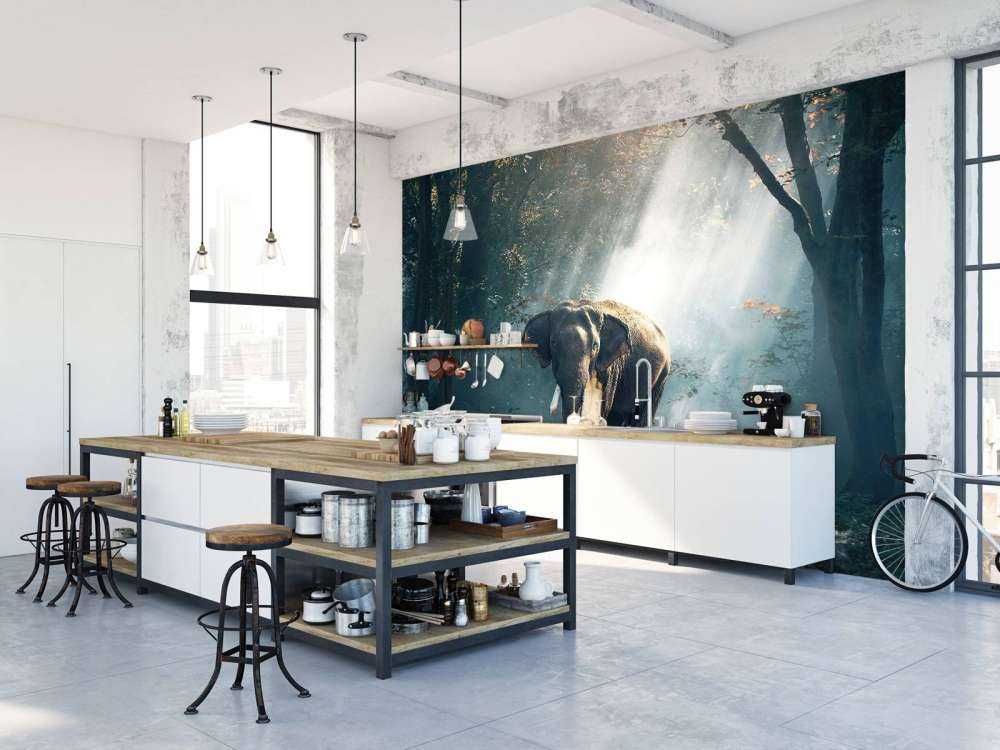 Elephant in a jungle