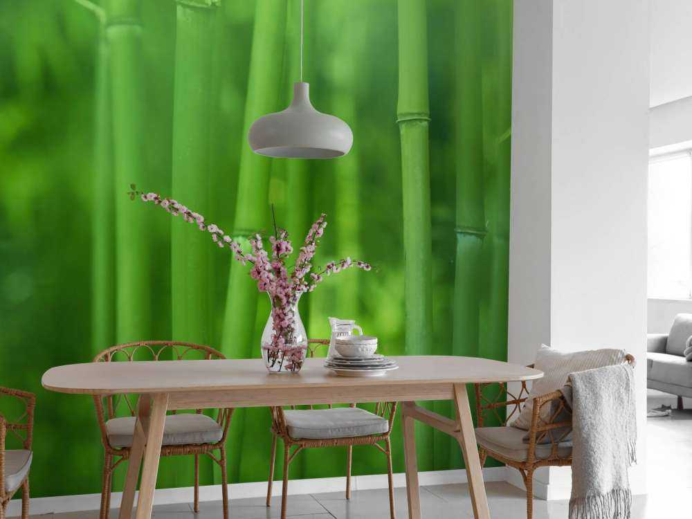 Bamboo and leaves