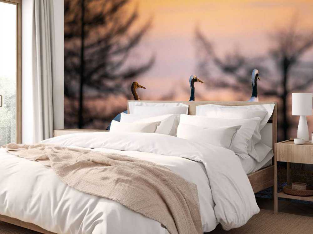 Kraanvogels bij zonsondergang