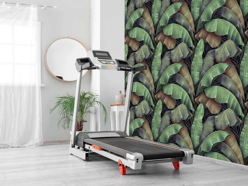 Luxury banana leaves